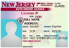 New Jersey Fake Drivers License